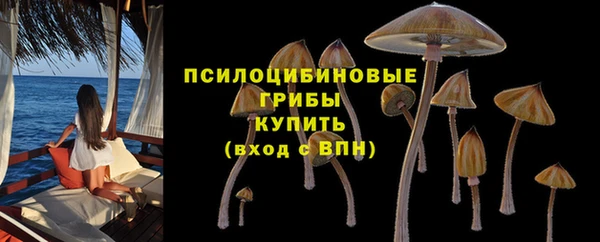 стафф Михайловск