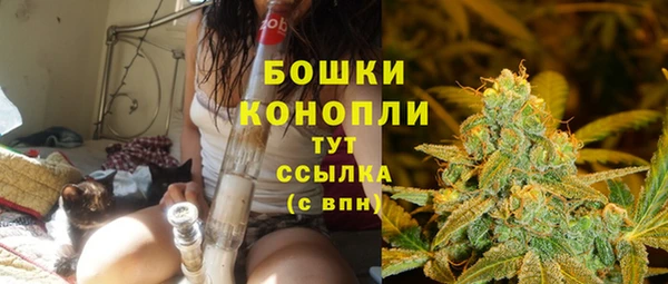 стафф Михайловск
