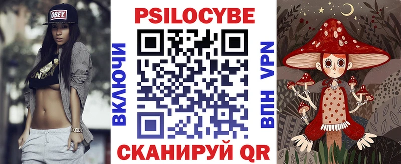 Купить  Суджа  Галлюциногенные грибы GOLDEN TEACHER 