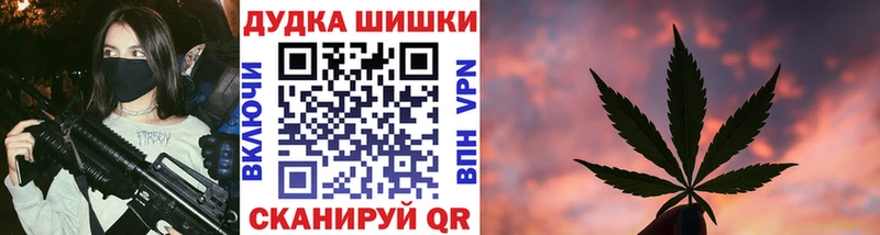 Купить  Суджа  Конопля планчик 